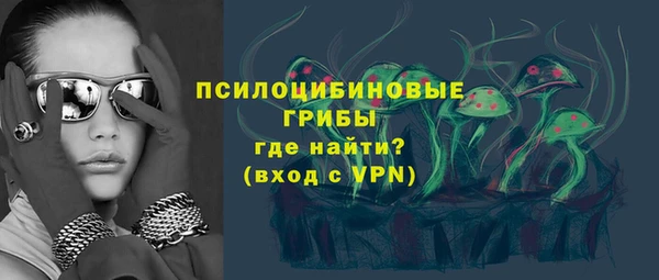 ешки Аркадак