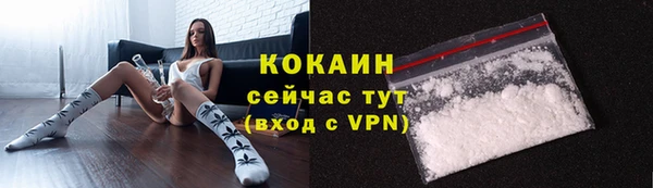 стаф Арсеньев