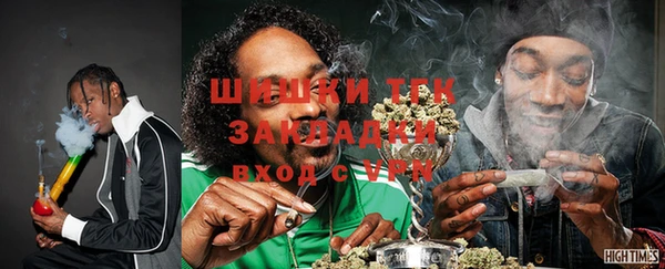 стаф Арсеньев