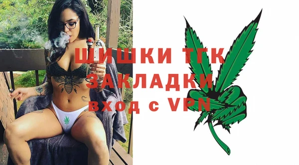 стаф Арсеньев
