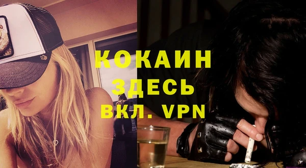 ешки Аркадак