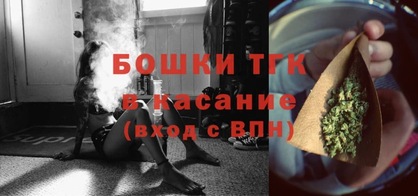 стаф Арсеньев