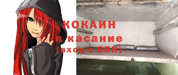 стаф Арсеньев